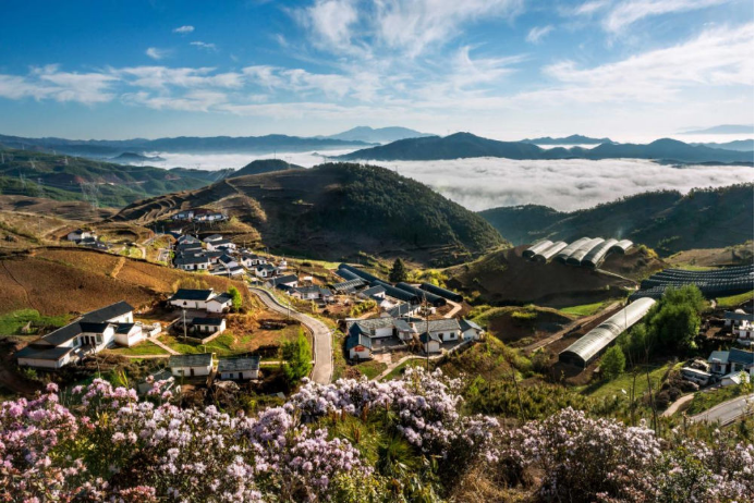 10 九游会国际电气集团科技兴农 助力凉山火普村打造数字乡村804.png